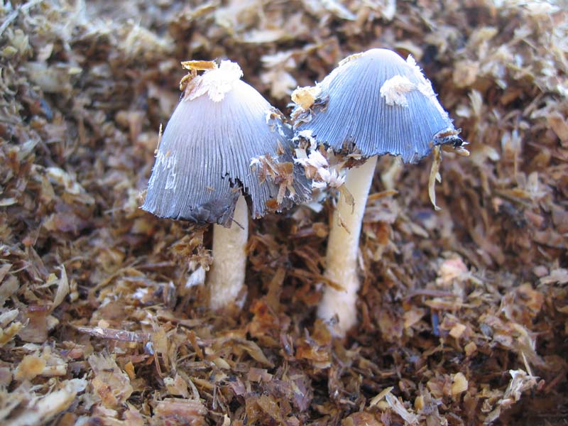 Escursione del  sabato pomeriggio